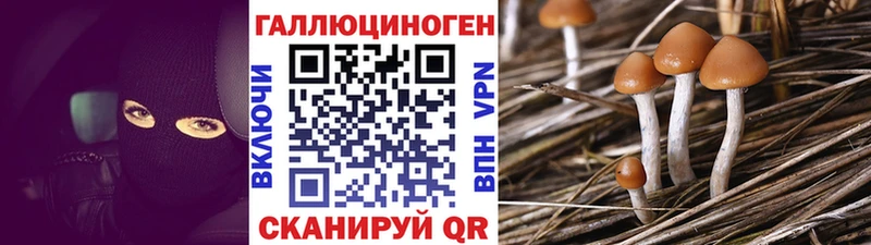 Псилоцибиновые грибы мицелий  Котельниково 